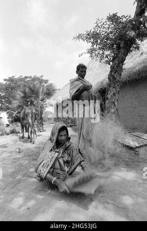 S/W eines armen Fischers, der seine Netze ausbessern konnte, und seiner Frau, die auf ihrem Gehöft im ländlichen Odisha (Orissa) Reis erntete. Ostindien. Stockfoto