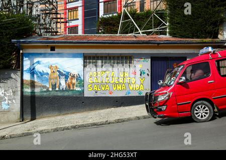 Roter Minibus, der an der Fassade des Gebäudes im Stadtteil Tembladerani vorbeifährt und die Menschen ermutigt, streunende Tiere als Haustiere anzunehmen, anstatt neue zu kaufen. Wie viele Städte in Lateinamerika haben auch La Paz und das benachbarte El Alto eine große Population von Straßenhunden, von denen viele verlassene Haustiere sind und eine Gefahr für Gesundheit und Sicherheit darstellen können. Der Slogan übersetzt als "Adopt a streunende and rette a life". La Paz, Bolivien Stockfoto