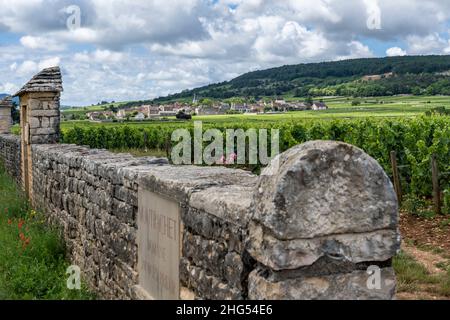 Chassagne-Montrachet, Frankreich - 29. Juni 2020: Weingut Domaine Jacques Prieur mit Tor und Mauer in Burgund, Frankreich. Stockfoto
