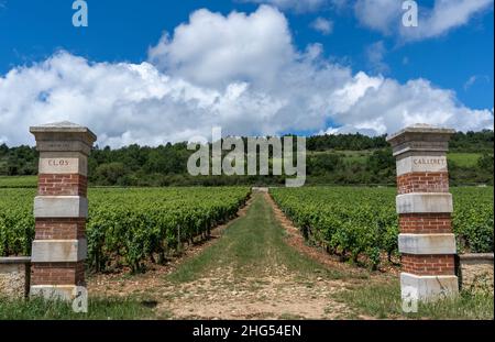 Chassagne-Montrachet, Frankreich - 29. Juni 2020: Weingut Domaine Clos Cailleret mit Tor in Burgund, Frankreich. Stockfoto