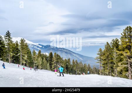 Winterlandschaft mit Menschen Skifahren und Snowboarden in Bansko Resort, Bulgarien. Skipiste auf einem Berg, umgeben von hohen Bäumen. Stockfoto