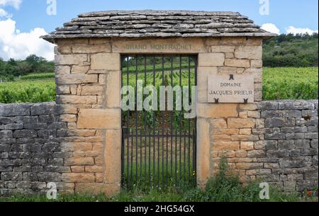 Chassagne-Montrachet, Frankreich - 29. Juni 2020: Weingut Domaine Jacques Prieur mit Tor in Burgund, Frankreich. Stockfoto