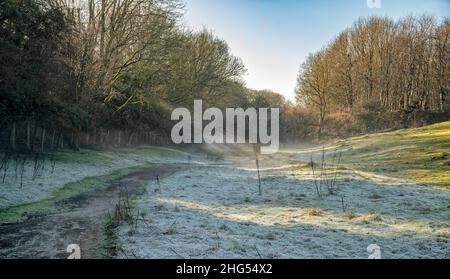 Ein frostiger Morgen und Strom mit Sonnenlicht und Strahlen, die durch die Bäume scheinen, bedeckt mit winterlichen Morgennebel, England, Cotswolds, Großbritannien Stockfoto