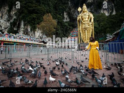 Kuala Lumpur, Malaysia. 18th Januar 2022. Eine hinduistische Anhängerin füttert Tauben, nachdem sie ihre Gelübde während des Thaipusam-Festivals im Tempel der Batu-Höhlen erfüllt hat.Thaipusam ist ein jährliches hinduistisches Fest, das vor allem von der tamilischen Gemeinschaft zu Ehren des Hindu-gottes Lord Murugan gefeiert wird. Eifrige Anhänger werden segnen und Gelübde ablegen, wenn ihre Gebete erhört werden. Kredit: SOPA Images Limited/Alamy Live Nachrichten Stockfoto