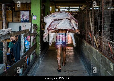 Bangkok, Thailand. 18th Januar 2022. Ein Arbeiter trägt Schweinekörper auf dem Rücken in einen Markt, auf dem sie geschlachtet und verkauft werden.Arbeiter auf dem Großmarkt Bangkok Noi bereiten am 18. Januar 2022 frisch geschlachtetes Schweinefleisch zum Verkauf vor. Aufgrund von Lieferengpässen, Marktspekulationen und einem möglichen Ausbruch der Afrikanischen Schweinepest steigen die Schweinefleischkosten in Thailand in die Höhe, was den Preis für Grundnahrungsmittel in die Höhe schiessen lässt. Die schnelle Inflation hat zu einem plötzlichen landesweiten Anstieg von Lebensmitteln von der Straße bis zum Supermarkt geführt. Kredit: SOPA Images Limited/Alamy Live Nachrichten Stockfoto