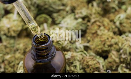 Tropf mit medizinischem Cannabis CBD-Unkrautöl zur oralen Verabreichung. Tröpfchen fallen in eine kleine braune Flasche. Stockfoto