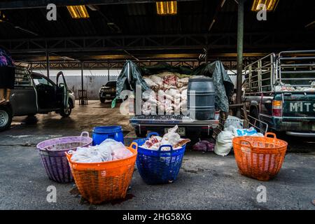 Bangkok, Thailand. 18th Januar 2022. Die Schlachtkörper werden vor dem Verkauf auf dem Markt in Mülltonnen sortiert.am Großmarkt Bangkok Noi bereiten die Arbeiter am 18. Januar 2022 frisch geschlachtetes Schweinefleisch zum Verkauf vor. Aufgrund von Lieferengpässen, Marktspekulationen und einem möglichen Ausbruch der Afrikanischen Schweinepest steigen die Schweinefleischkosten in Thailand in die Höhe, was den Preis für Grundnahrungsmittel in die Höhe schiessen lässt. Die schnelle Inflation hat zu einem plötzlichen landesweiten Anstieg von Lebensmitteln von der Straße bis zum Supermarkt geführt. (Foto von Matt Hunt/SOPA Images/Sipa USA) Quelle: SIPA USA/Alamy Live News Stockfoto