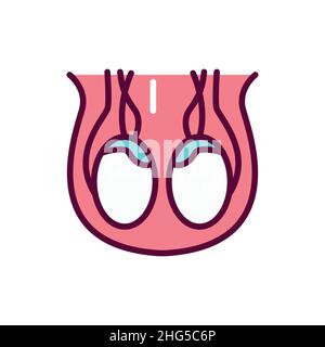 Symbol für die Farbleitung des Hodensacks des menschlichen Organs. Isoliertes Vektorelement. Skizzieren Sie das Piktogramm für Webseite, mobile App, Promo Stock Vektor