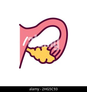 Symbol für ovarielle Farblinie. Isoliertes Vektorelement. Skizzieren Sie das Piktogramm für Webseite, mobile App, Promo Stock Vektor