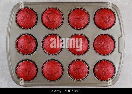 Leckere rote Samt-Cupcakes im Ofenstift. Draufsicht. Stockfoto