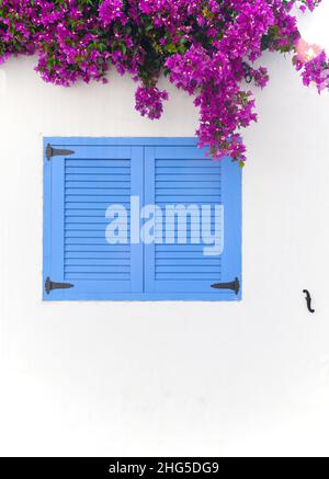 Bougainvillea auf einer weißen Wand mit blauen Fensterläden im weißen Dorf Agua Amarga, Almeria, Andalusien Stockfoto