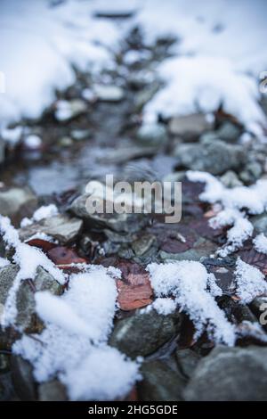 Fließender natürlicher Fluss über Felsen. Die Felsen und der Boden sind mit weißem Schnee bedeckt. Wintersaison. Hochwertige Fotos Stockfoto