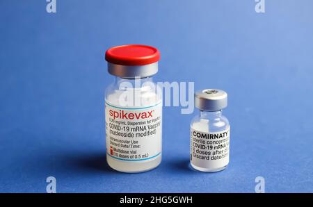Viersen, Deutschland - Januar 9. 2022: Nahaufnahme von zwei isolierten mRNA-Impfserumfläschchen (Moderna Spikevax und BioNTech Pfizer Comirnaty), blauer Backgr Stockfoto