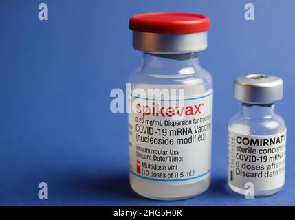 Viersen, Deutschland - Januar 9. 2022: Nahaufnahme von zwei isolierten mRNA-Impfserumfläschchen (Moderna Spikevax und BioNTech Pfizer Comirnaty), blauer Backgr Stockfoto