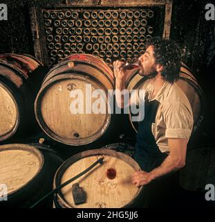 Weinarbeiter in einem alten französischen rustikalen Fasskeller, der in den Kellern von Louis Latour Chateau de Grancey Aloxe Corton Cote d'Or Burgund Frankreich eine Verkostung und Bewertung von Rotwein aus Burgund verkostet Stockfoto