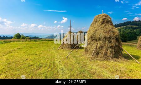 haystacks auf dem grasbewachsenen Feld auf dem Hügel. Schöne ländliche Landschaft in den karpaten an einem sonnigen Sommertag. Flauschige Wolken am blauen Himmel in e Stockfoto