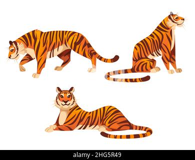 Set von Erwachsenen großen roten Tiger Tierwelt und Fauna Thema Cartoon Tier Design flache Vektor-Illustration isoliert auf weißem Hintergrund Stock Vektor