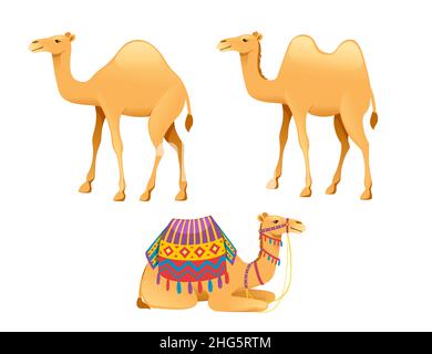 Set von niedlichen ein Buckel Kamel mit Zaumzeug und Sattel Cartoon Tier Design flache Vektor-Illustration isoliert auf weißem Hintergrund Stock Vektor