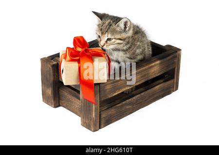 Kleine Katze in der Holzkiste mit einer Geschenkbox auf weißem Hintergrund. Stockfoto