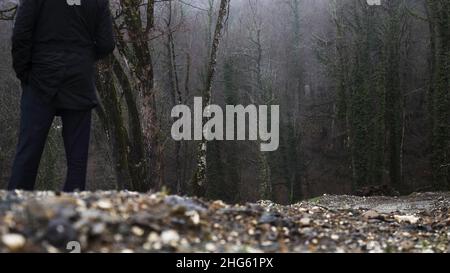 Rückansicht eines Mannes, der unter dem Regen vor dem Herbstwald steht. Kaltes Herbstwetter und neblig nasse Bäume unter dem starken Regen. Stockfoto