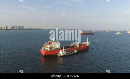 Viele Frachtschiffe segeln im Meer bei sonnigem Wetter auf blauem Himmel Hintergrund. Lastkähne bewegen sich auf den Wasserstraßen von Miami, Florida Stockfoto