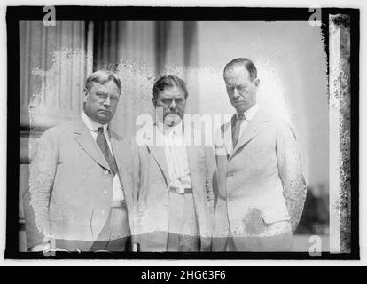 Senator Hiram Johnson, Wm. E. Borah & Medire McCormick Stockfoto