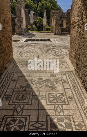 Haus des Wildschweines Pompeji, Italien Stockfoto