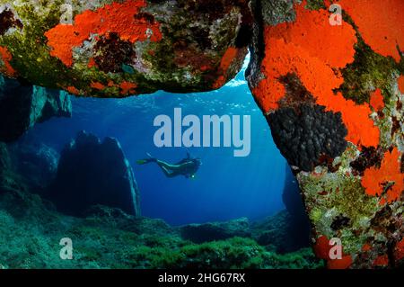 Tauch in einer schönen Höhle der Insel Capraia, Toskanischer Archipel. Stockfoto