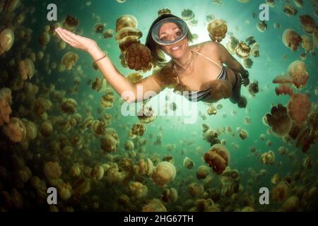 Eine lächelnde weibliche Taucherin unter den goldenen Quallen (Mastigias papua) des Jellyfish Lake, auf der Insel Eil Malk (Republik Palau, Mikronesien). Stockfoto