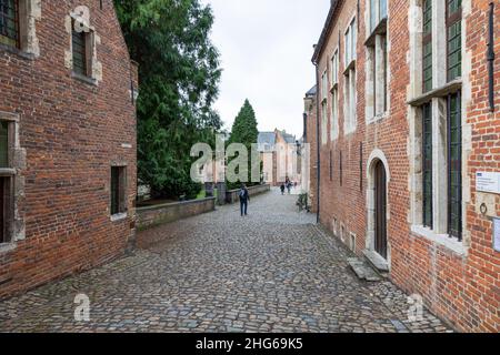 Der Leuven Grand Beguinage, bekannt als der Groot Begijnhof, in Belgien. Unesco-Weltkulturerbe Stockfoto