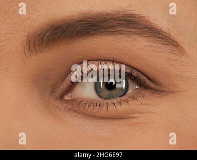 Weibliches Auge. Augen Make-up. Gewölbte Augenbraue und natürlicher Lidschatten. Sehvermögen. Wimpern-Verlängerung. Stockfoto