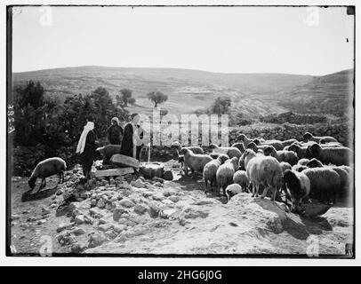 Set aus dreizehn ausgewählten Folien über das Leben der Hirten, die den 23. Psalm illustrieren. „Mein Becher läuft über“. Stockfoto