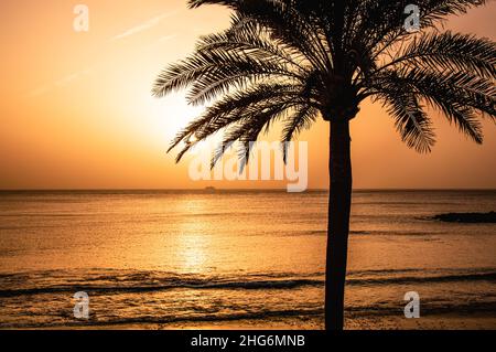 Palmen-Silhouette vor tropischem Sonnenuntergang Himmel. Untergehende Sonne, die sich im farbigen Meerwasser spiegelt Stockfoto
