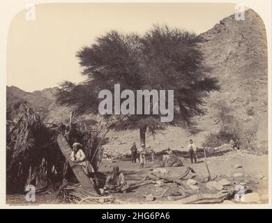 Sgt. James M. McDonald (Englisch - Seyal (Shittim) Baum, dem Schutzheiligen Wady Feiran gewidmet Stockfoto