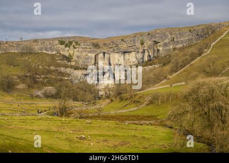 Malham Cove ist eine riesige, geschwungene, Amphitheater-förmige Felsformation aus Kalkstein. Die senkrechte Seite der Klippe ist etwa 260 Meter hoch. Stockfoto