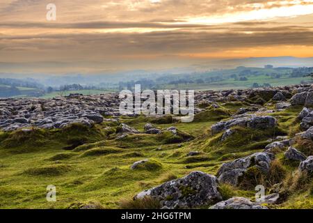 Malham Cove ist eine riesige, geschwungene, Amphitheater-förmige Felsformation aus Kalkstein. Die senkrechte Seite der Klippe ist etwa 260 Meter hoch. Stockfoto