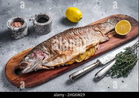 Gegrillte ganze Forelle, bbq Fisch auf einem Holzbrett mit Kräutern. Grauer Hintergrund. Draufsicht Stockfoto