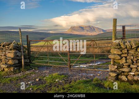 Die Wintersonne auf Penyghent A fiel in den Yorkshire Dales, England. Es ist der niedrigste der drei Gipfel von Yorkshire mit 2.277 Fuß; die anderen beiden sind in Stockfoto