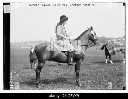 Sheila Byrne über Harvey Ladews „Cardiff“ Stockfoto