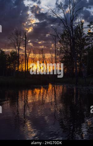 Sonnenaufgang auf einem Wildnissee im Norden von Wisconsin. Stockfoto