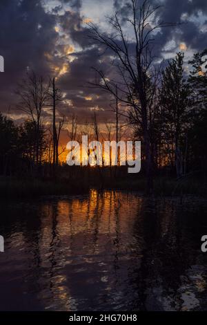 Sonnenaufgang auf einem Wildnissee im Norden von Wisconsin. Stockfoto