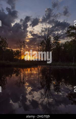Sonnenaufgang auf einem Wildnissee im Norden von Wisconsin. Stockfoto