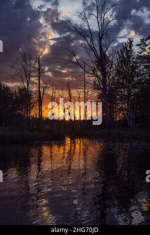 Sonnenaufgang auf einem Wildnissee im Norden von Wisconsin. Stockfoto