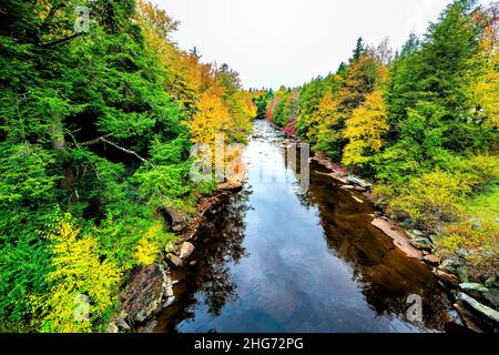 Blackwater Falls Creek River Water liegt in Davis, West Virginia State Park, hoch oben und bietet farbenfrohe Herbstfärbung, goldgelb-rote Blattblätterblätterblätterblätterblätterchen Stockfoto