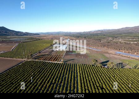 Orangenplantagen und Farmen im Santa Clara Valley in Ventura County, Kalifornien aus der Luft Stockfoto