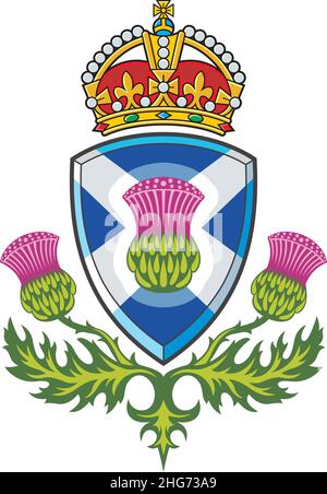 Schottischer Distel.Symbol von Schottland Stock Vektor