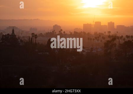 Dunstiger Sonnenuntergang über Los Angeles mit Palmen und Gebäuden Stockfoto
