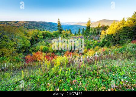 West Virginia überblickt farbenfrohe rot-gelbe Herbstblätter in Allegheny Mountains bei Sonnenuntergang vom Highland Scenic Highway in Monongahela na Stockfoto