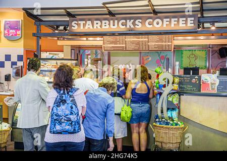 Miami Florida International Airport MIA, Café, Starbucks Coffee, Barista, Gäste, Schlange stehen, Getränke trinken, Getränke, FL070719001 Stockfoto