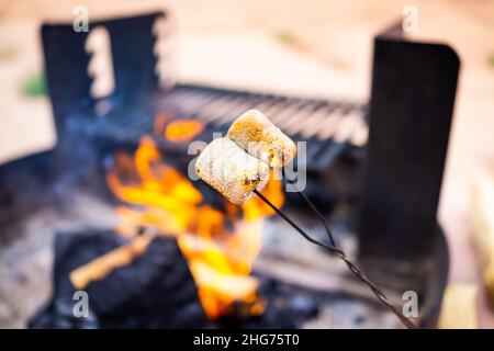 Geröstete, verkohlte Sumpflaibe grillen auf Stöcken am Feuer auf dem Lagerfeuergrill mit orangeroter Flamme im verschwommenen Bokeh-Hintergrund und in der Nähe Stockfoto